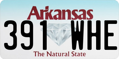 AR license plate 391WHE