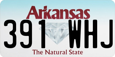 AR license plate 391WHJ