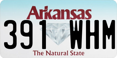 AR license plate 391WHM