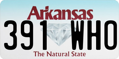 AR license plate 391WHO