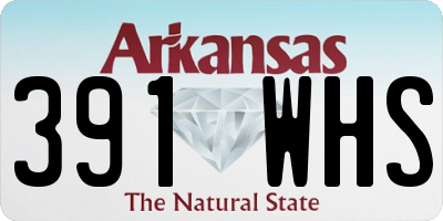 AR license plate 391WHS