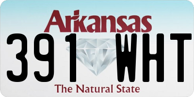 AR license plate 391WHT