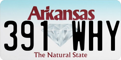 AR license plate 391WHY