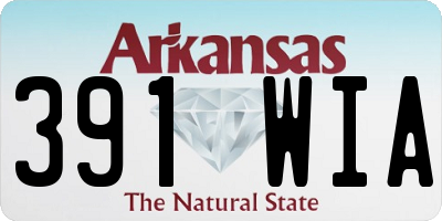 AR license plate 391WIA