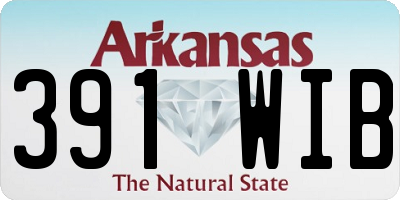 AR license plate 391WIB