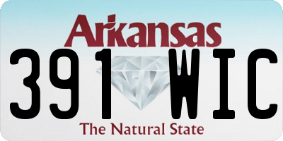 AR license plate 391WIC