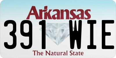 AR license plate 391WIE