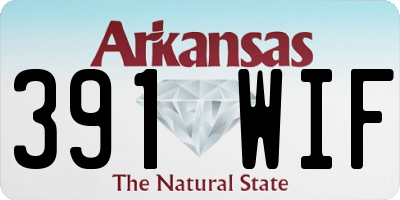AR license plate 391WIF