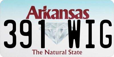 AR license plate 391WIG