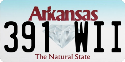 AR license plate 391WII
