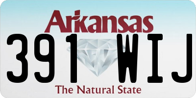 AR license plate 391WIJ