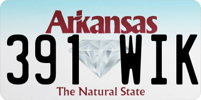 AR license plate 391WIK