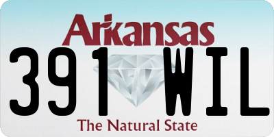 AR license plate 391WIL