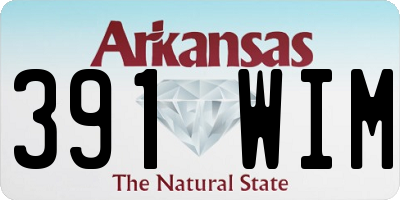 AR license plate 391WIM