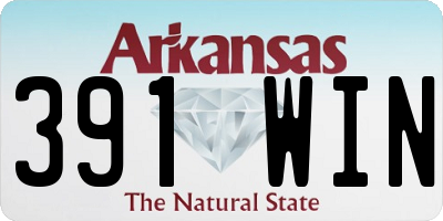 AR license plate 391WIN