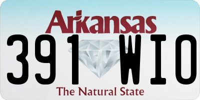 AR license plate 391WIO