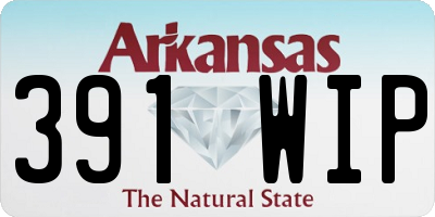 AR license plate 391WIP