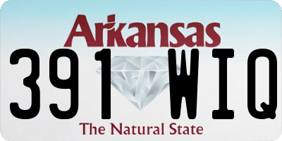 AR license plate 391WIQ