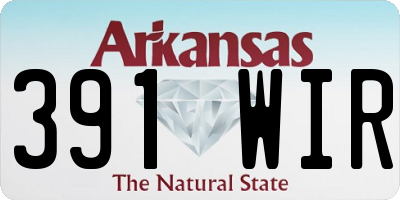 AR license plate 391WIR