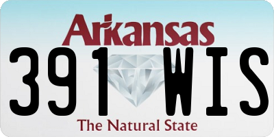 AR license plate 391WIS