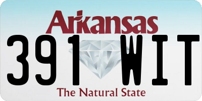 AR license plate 391WIT