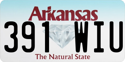 AR license plate 391WIU