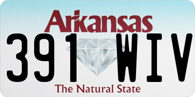 AR license plate 391WIV