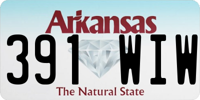 AR license plate 391WIW