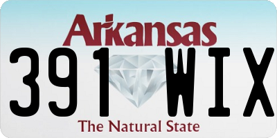AR license plate 391WIX
