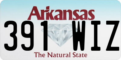 AR license plate 391WIZ