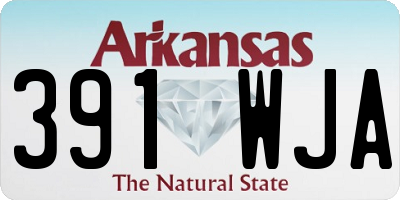 AR license plate 391WJA