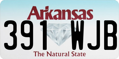 AR license plate 391WJB
