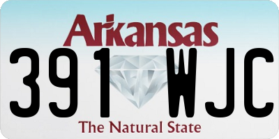 AR license plate 391WJC
