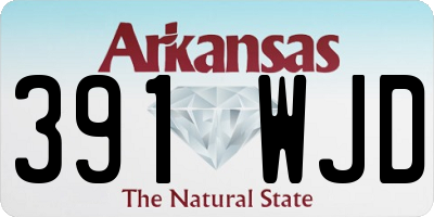 AR license plate 391WJD