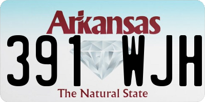 AR license plate 391WJH