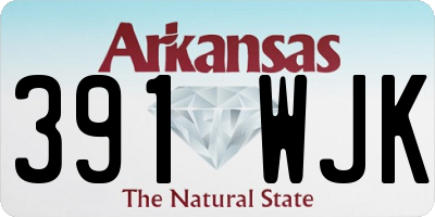 AR license plate 391WJK