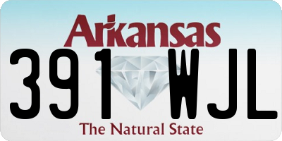 AR license plate 391WJL