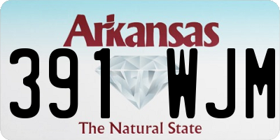 AR license plate 391WJM