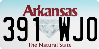 AR license plate 391WJO