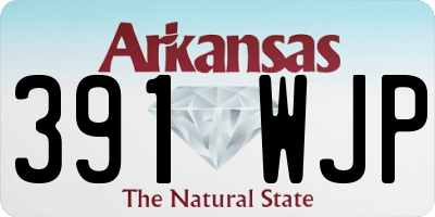 AR license plate 391WJP