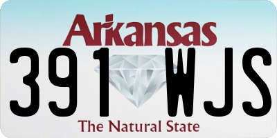 AR license plate 391WJS