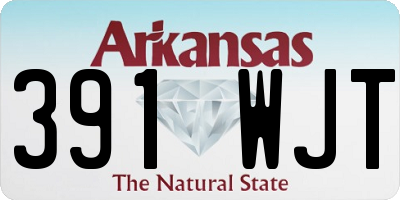 AR license plate 391WJT