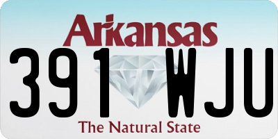 AR license plate 391WJU