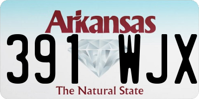 AR license plate 391WJX
