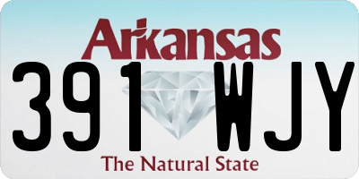 AR license plate 391WJY