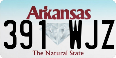 AR license plate 391WJZ