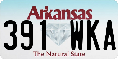 AR license plate 391WKA