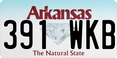 AR license plate 391WKB