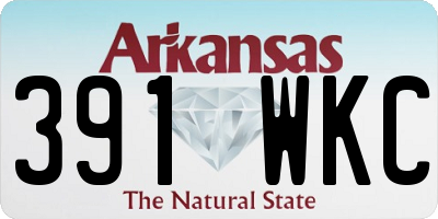 AR license plate 391WKC