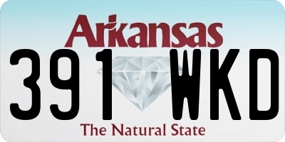 AR license plate 391WKD